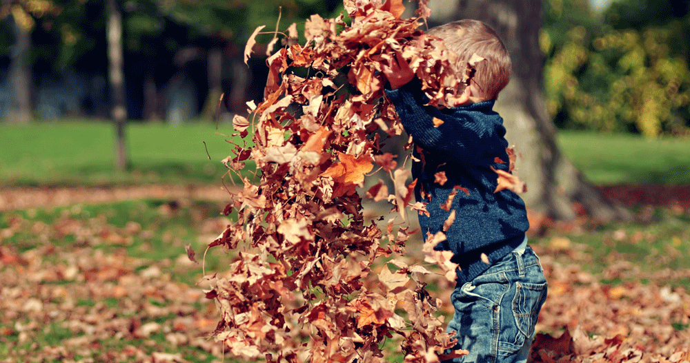 young child playing in leaves