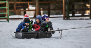 kids in a sled